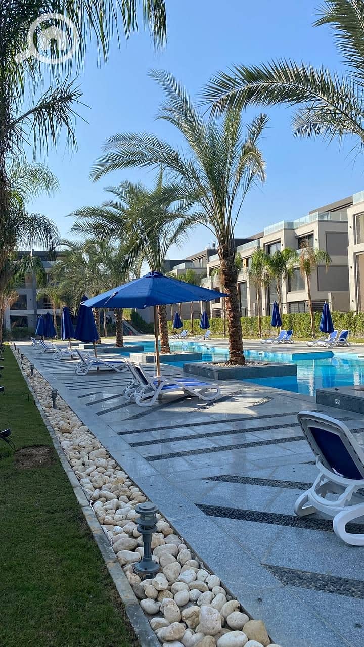 8 photo_2023-12-06_21-17-19. jpg