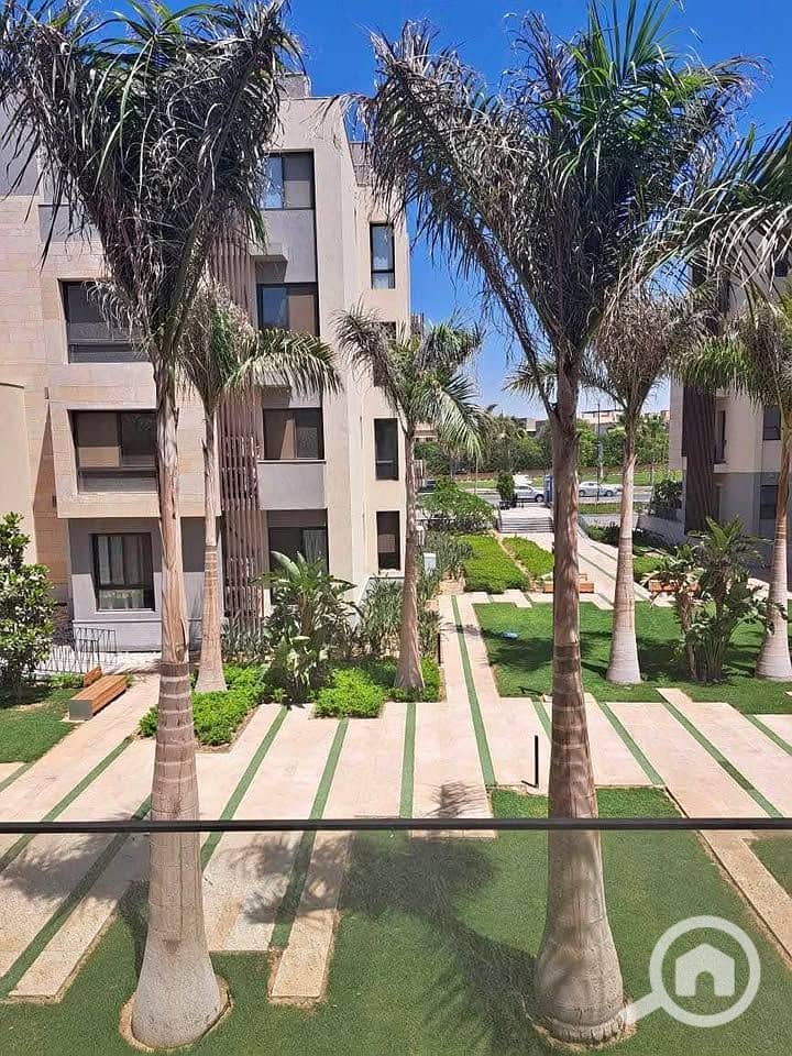 9 462109143_560203936454976_7161288029657834620_n. jpg