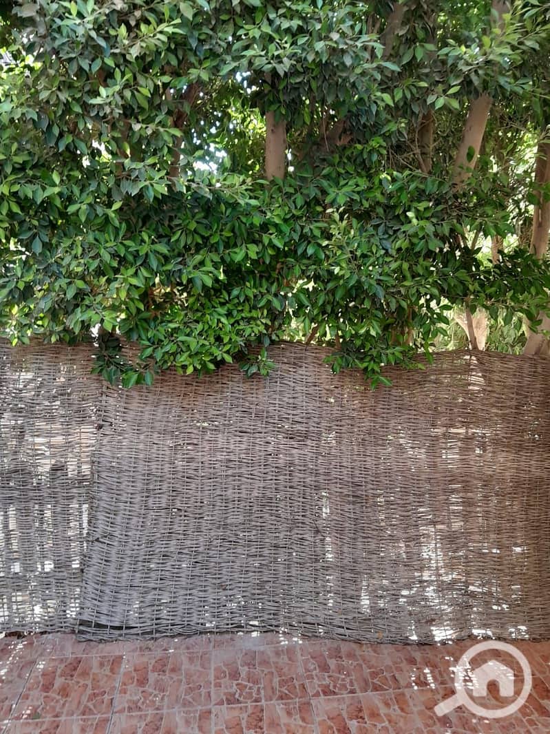 5 0b5f9084-20bf-4af1-8ce6-872ff47e9ec1. jpeg