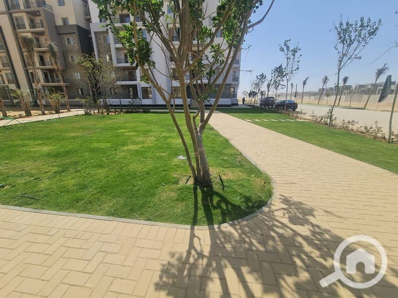 8 7439dfd4-d3c0-4e7b-99a8-358c7e6f884b. JPG