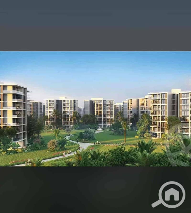 IMG_9455. jpg IMG_9455. jpg