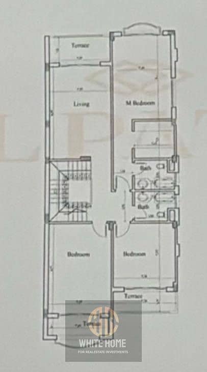 3 419ecfd9-d89a-4833-be00-b956feb00d65. jpeg