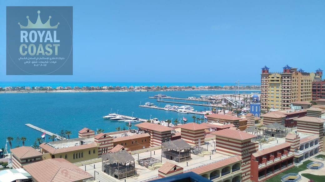 11 8afb6e90-7d3e-48cf-a376-618e8ba321b8. jpg