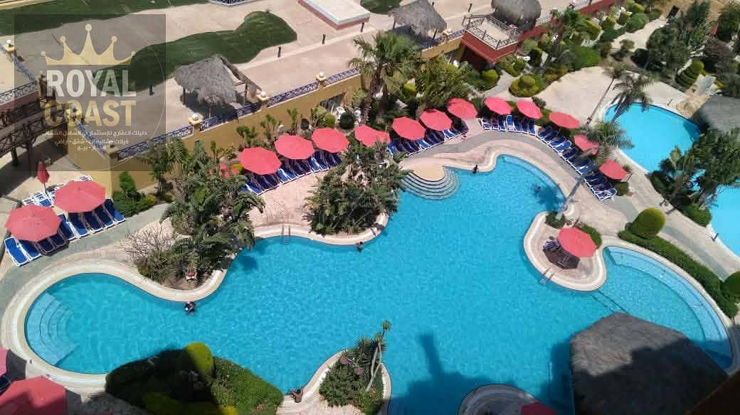 16 9fb1a362-39c4-469b-891a-66180c4401c4. jpg