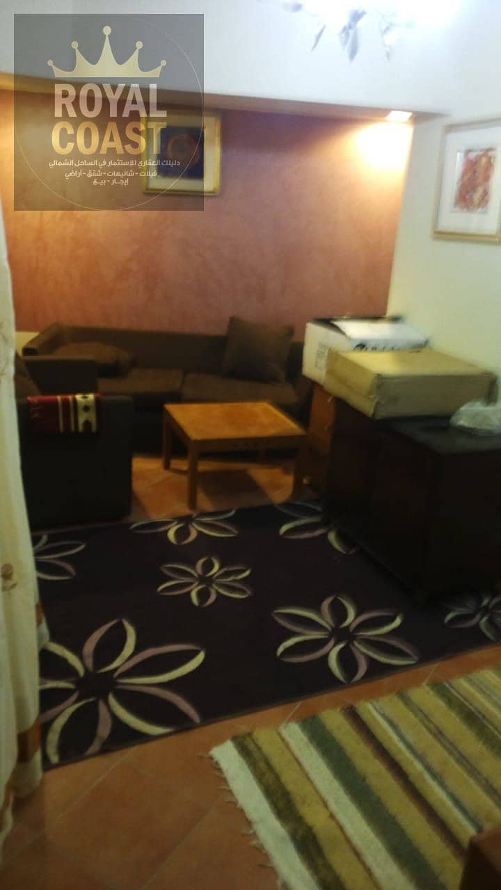 18 8f6cbda7-cdd8-43c0-888d-393a32b045c9. jpg