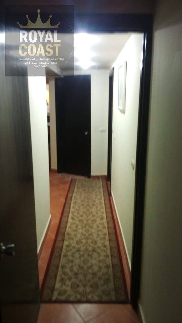 22 9a46352e-4077-4f3b-b776-102d4cb57400. jpg