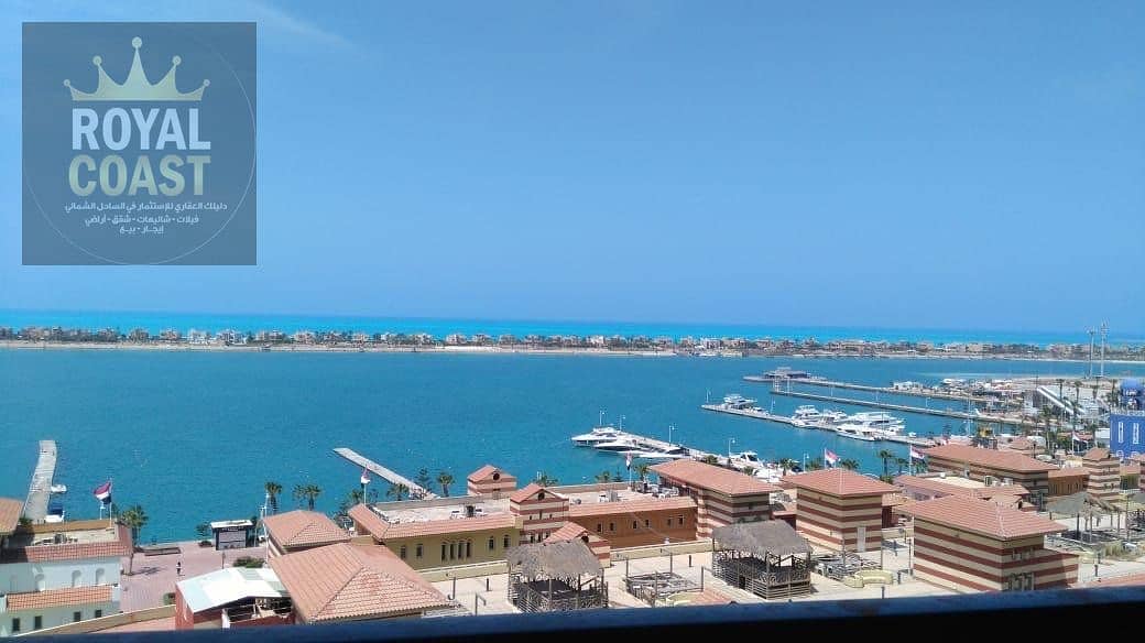 32 b25aad1e-b51c-4c47-88d2-b43ccb5e45dc. jpg