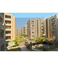 10 ذا-فيلدج-جيت-5. jpg