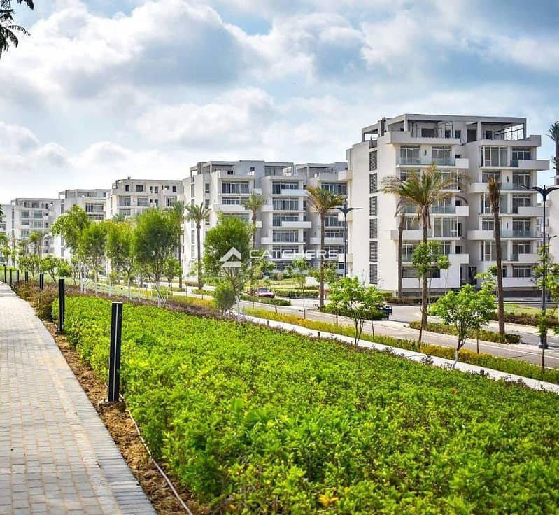 8 566233819_818673957239060_2545666103889154537_n. jpg