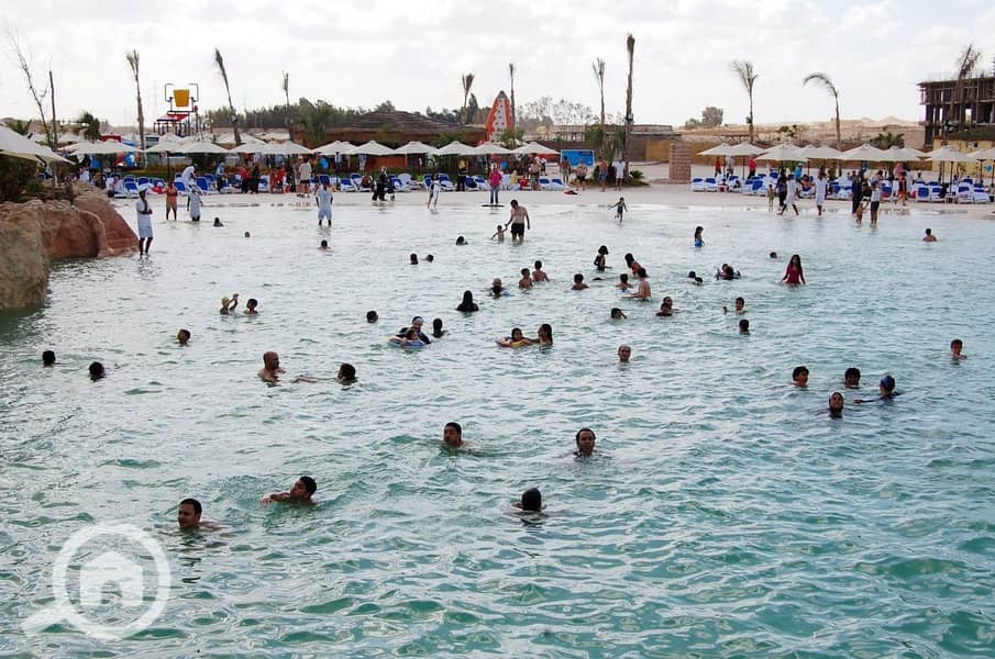 12 e14c0188-8033-4f5b-a9e5-31fd44ea14ee. jpeg