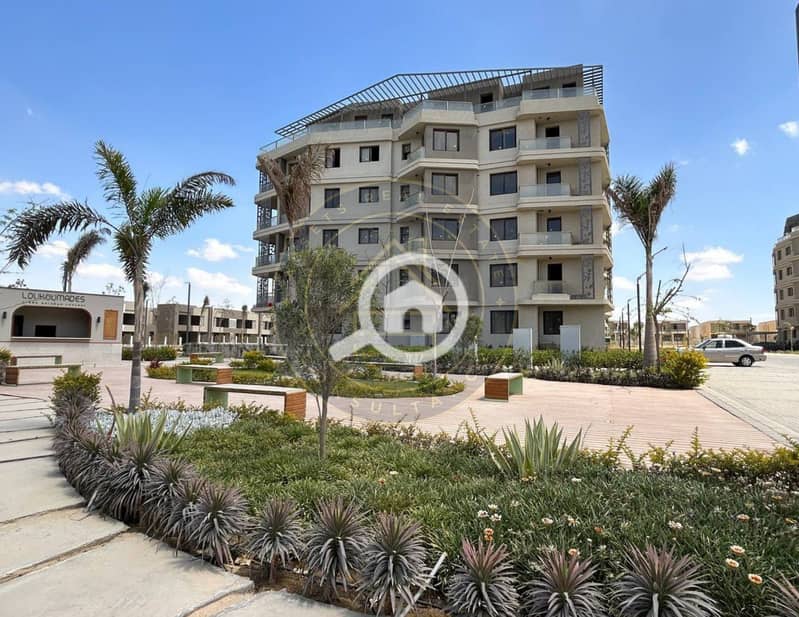 4 photo_1_2025-02-10_11-46-39. jpg