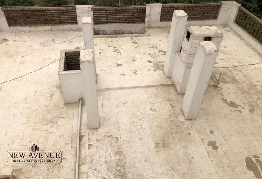 10 df6b6a73-e740-4627-b8e3-770244dcc275. jpg