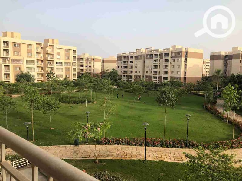 1000595180. jpg 1000595180. jpg