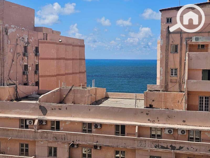 10 61b19531-27de-497c-b183-72c4237d39d1. jpg