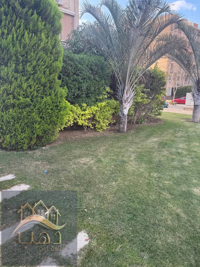 5 WhatsApp Image 2025-12-11 at 4.39. 07 PM (4). jpeg