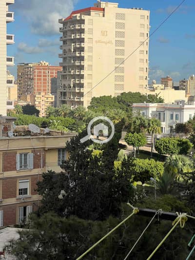 شقة 3 غرف نوم للايجار في كفر عبدو، الإسكندرية - IMG_5797. jpg