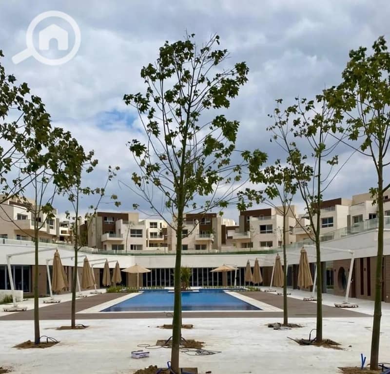 3 IMG_٢٠٢٥١٢١٠_١٧٠٨١٣_edit_267776895751121. jpg