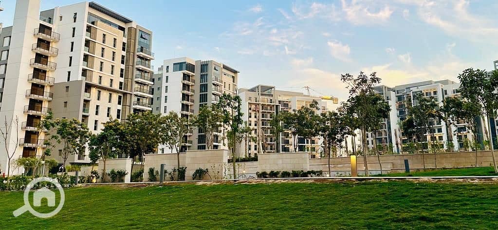 6 WhatsApp Image 2024-10-22 at 2.31. 52 PM. jpeg