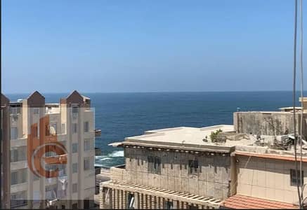 فلیٹ 3 غرف نوم للايجار في سبورتنج، الإسكندرية - 5. png