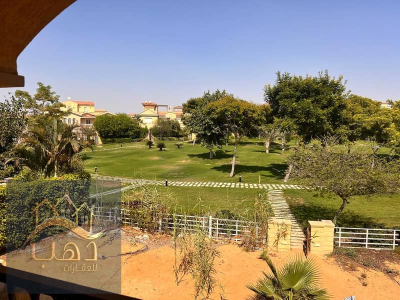 4 259cbed7-9818-4355-897a-76c4be0e852d. jpg