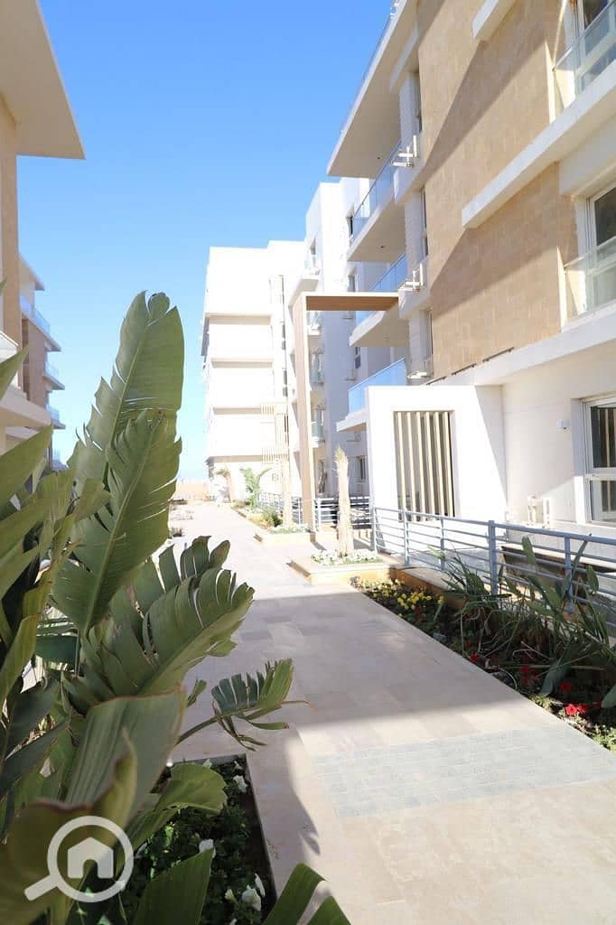 7 4559975e-1646-4fd9-b26f-f129c4728ac7. jpeg