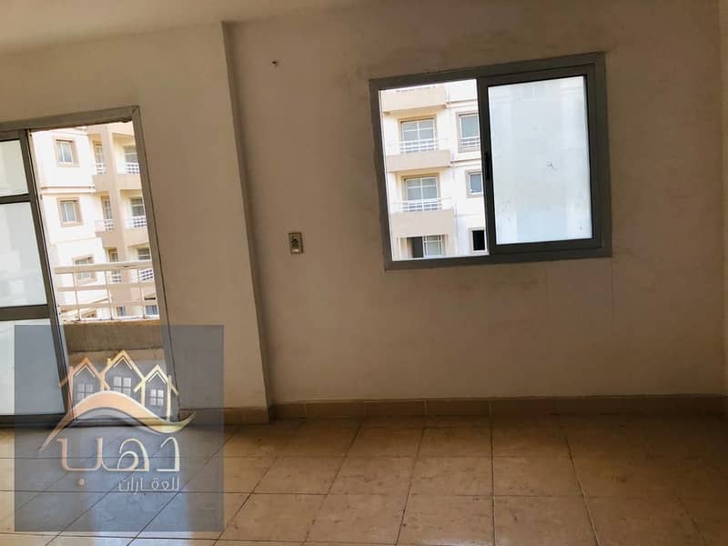 6 db7ff19b-5604-46b9-8285-6e7c6ef6d652. jpg