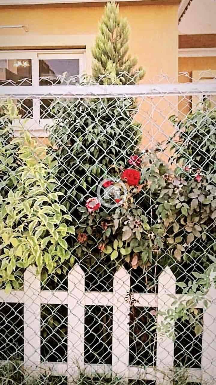 7 c6ea7d3e-7c90-48dc-a3a6-c35a09177d65. jpg