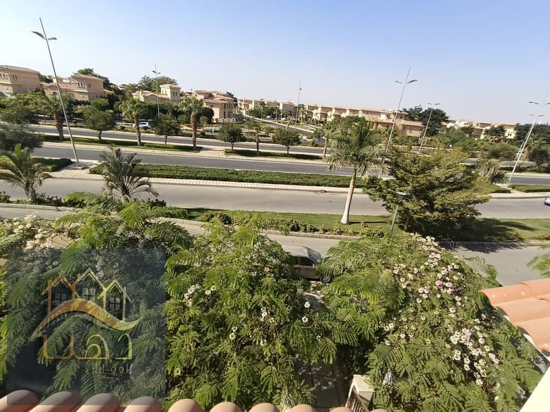 7 d03d67e7-4e0b-4948-922d-7173ddbd94d5. jpg