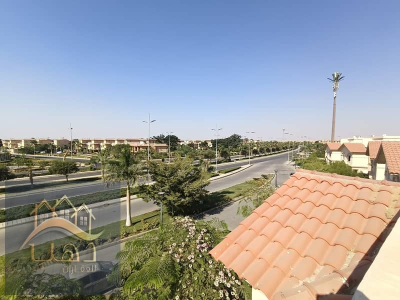 10 afca1f65-a93f-415b-a87f-150b01d362cf. jpg