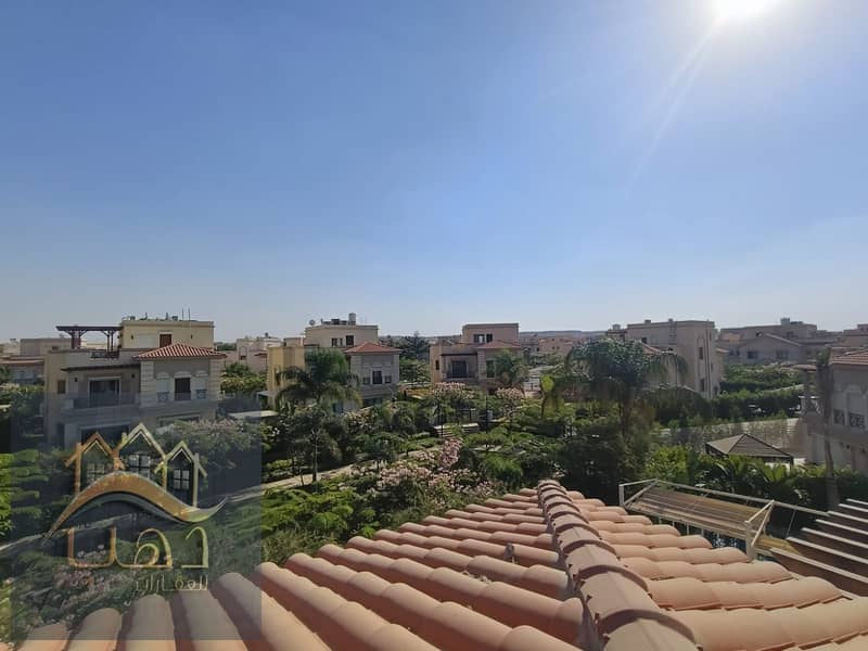 11 9912aeb9-20bd-457e-9147-b353747ef386. jpg