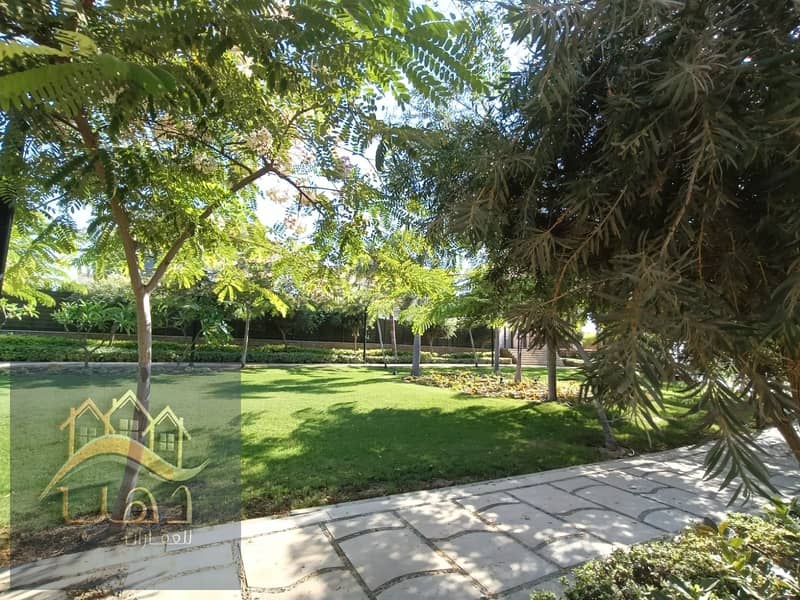 26 7515b116-cac3-4ce2-97c2-a3d734695a16. jpg