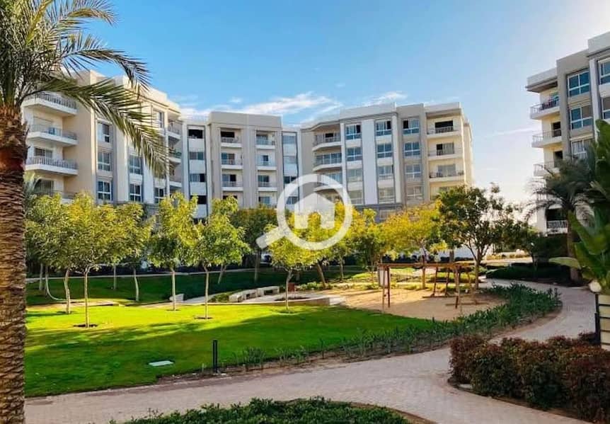 8 480507746_122187459086045366_6905298172499512525_n. jpg