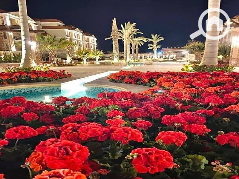 12 734ecb41-5a15-4e0e-8e75-f4a61604f307. jpg