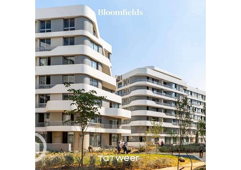 11 37ec322e-a23d-41ab-b746-0df90587e56b. jpg