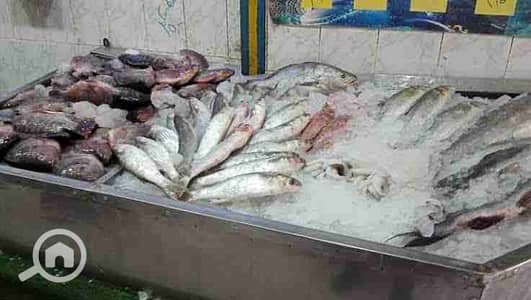 Retail for Rent in Agami, Alexandria - 1000495558. jpg