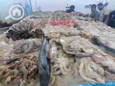 Retail for Rent in Agami, Alexandria - 1000495566. jpg Retail for Rent in Agami, Alexandria - 1000495566. jpg