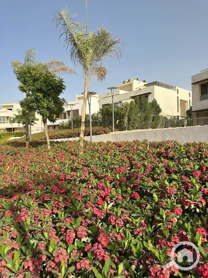 6 513645599_24036663295953157_2330003232577237344_n. jpg