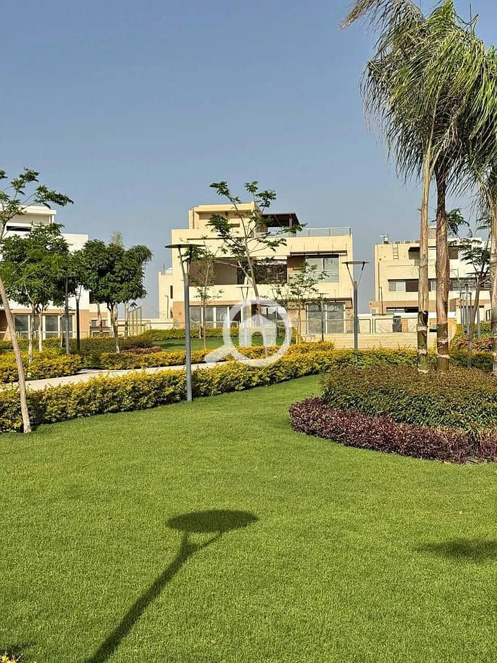 7 523902649_24258074837145334_1355509895603502168_n. jpg