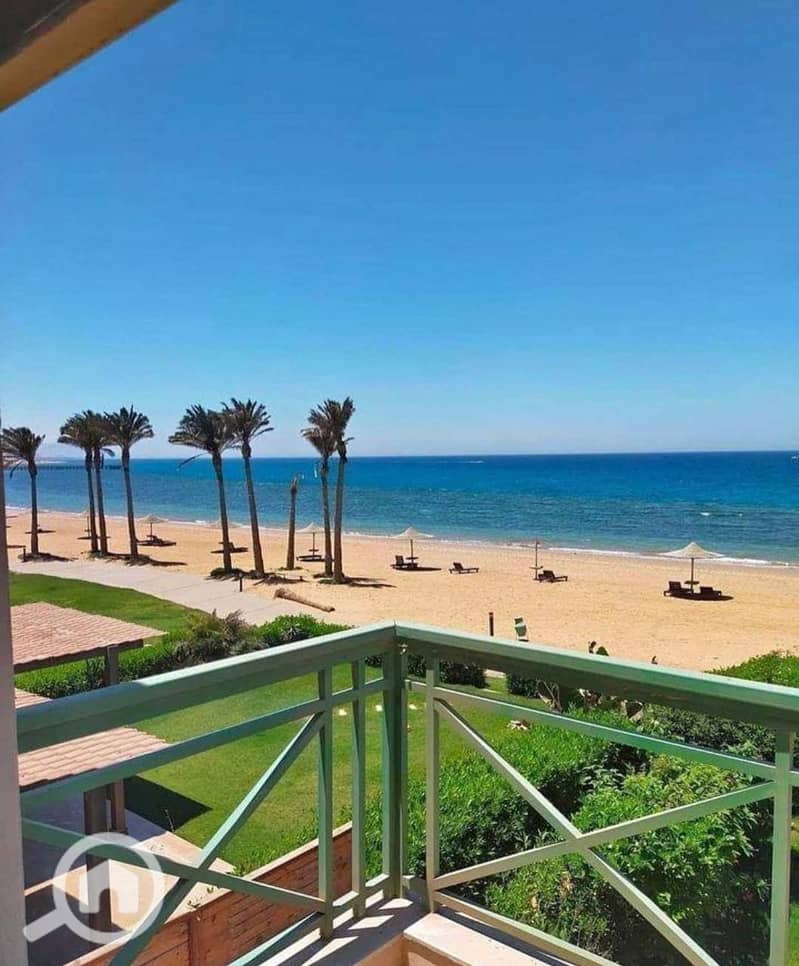 2 6008014066162974913. jpg