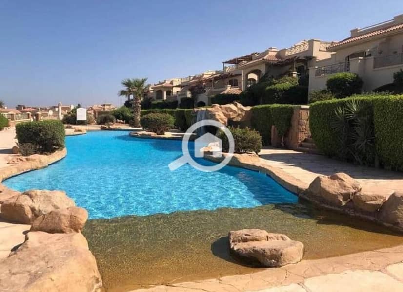 4 6008014066162974915. jpg