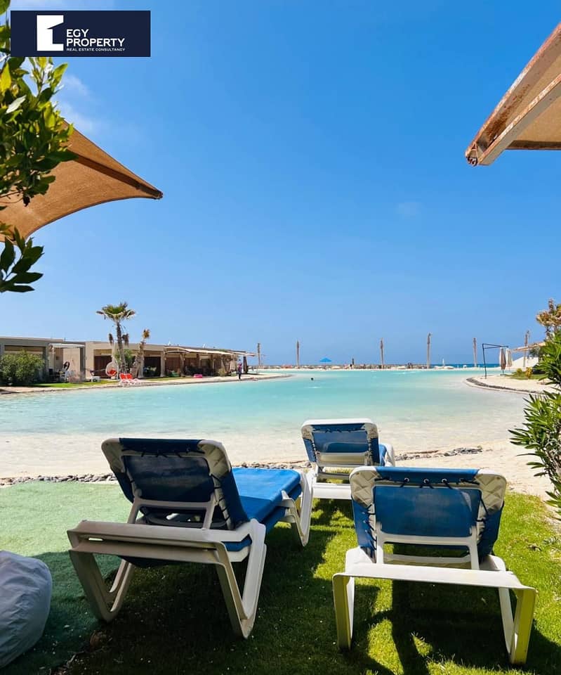 2 WhatsApp Image 2025-12-16 at 14.17. 42_7cb46d05. jpg