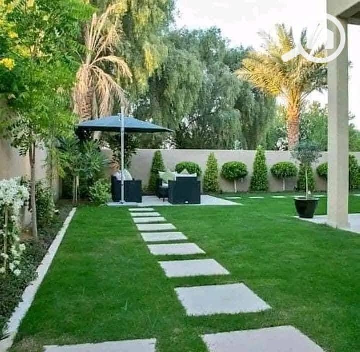 6 5931314106399310670. jpg