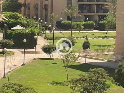 فلیٹ 3 غرف نوم للايجار في القاهرة الجديدة، القاهرة - 1000170819. jpg