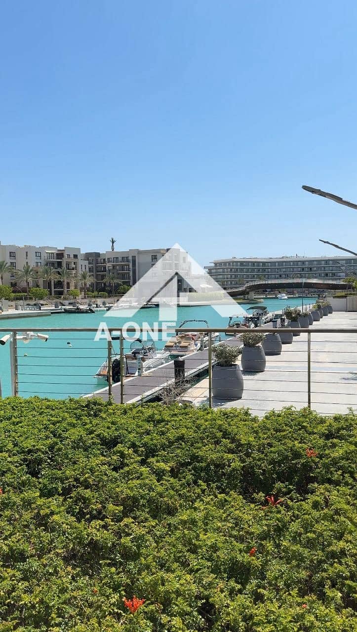 13 c6fdaddb-d992-4df1-9c27-10bfad0c4d6e. jpg