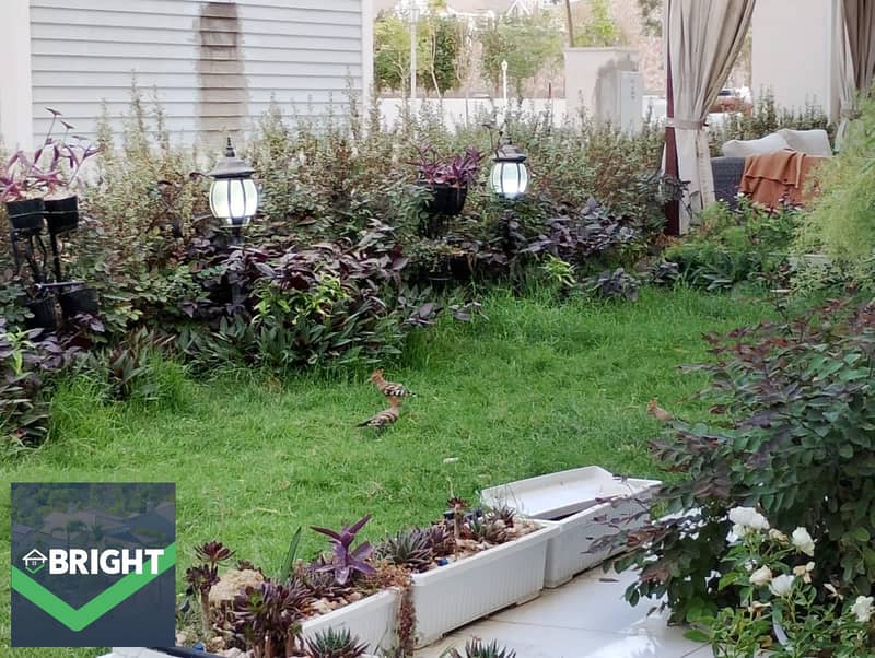 12 IMG-20251204-WA0241 - Copy. jpg