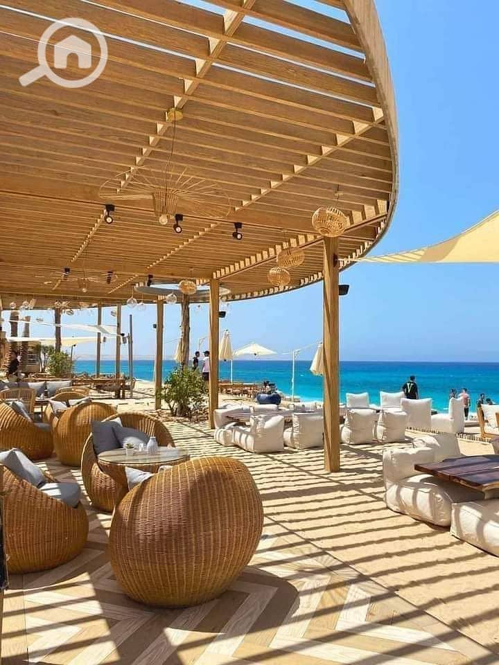 4 photo_2025-03-27_23-36-40 (2). jpg