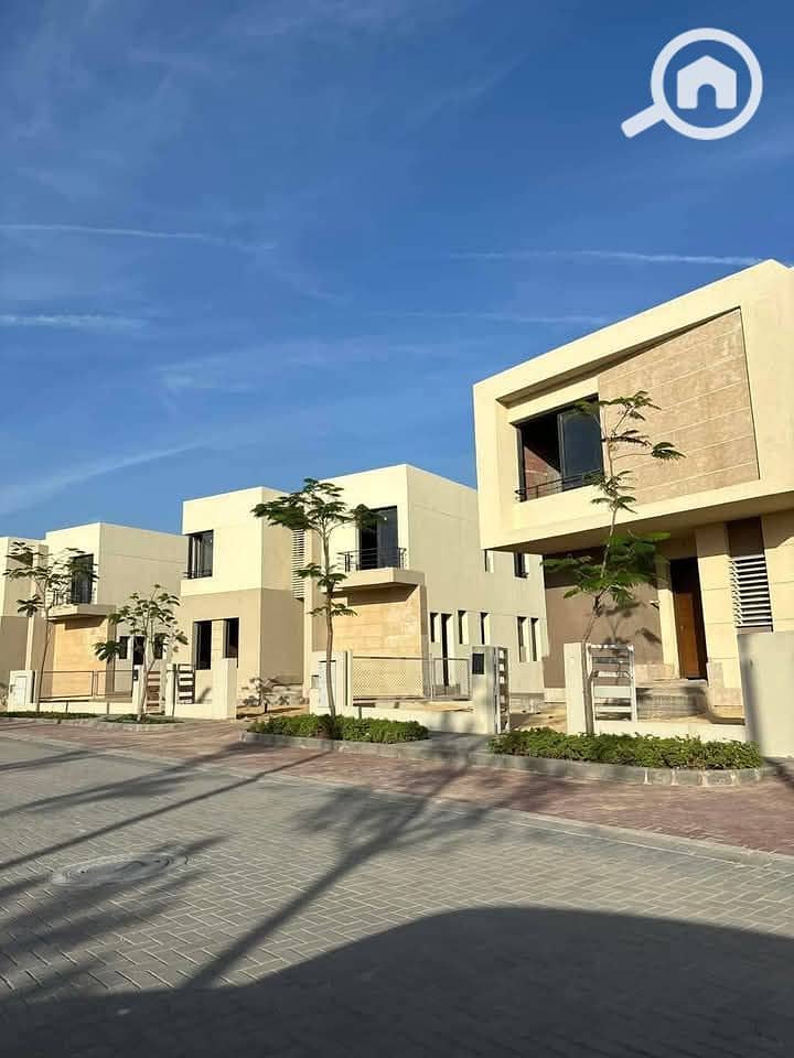 7 photo_2025-03-20_02-29-59. jpg