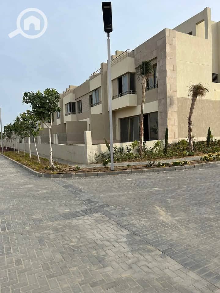 3 photo_2025-03-20_02-29-31. jpg