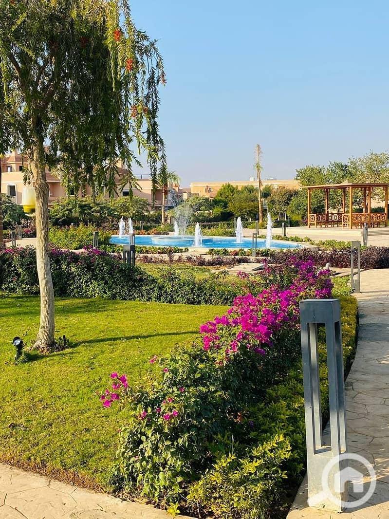 7 photo_2024-12-05_15-49-17. jpg