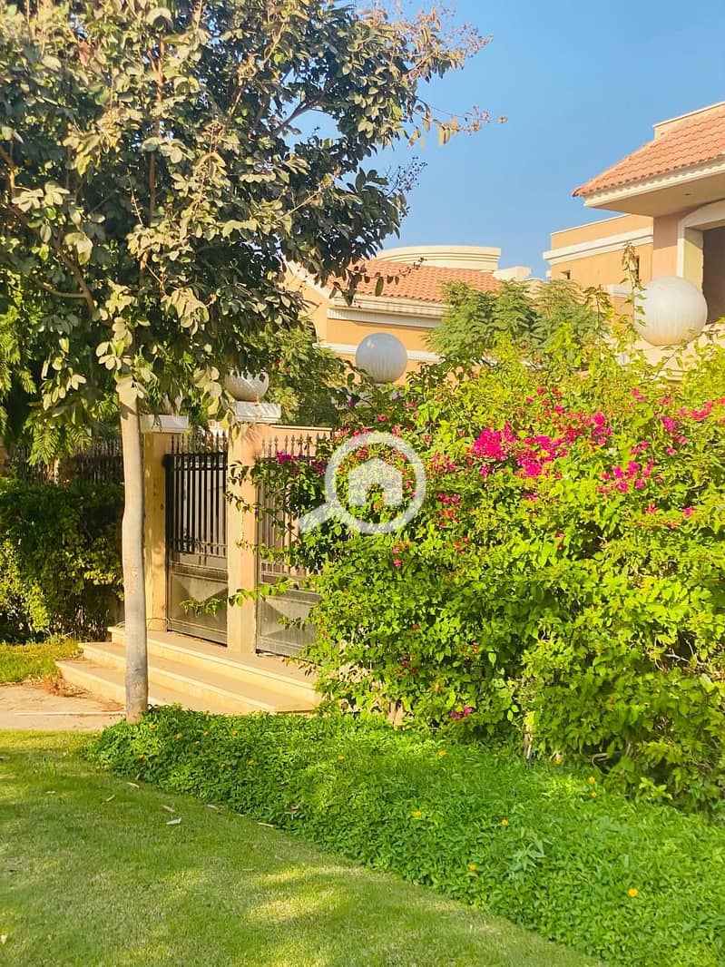 2 photo_2023-12-06_21-33-04. jpg